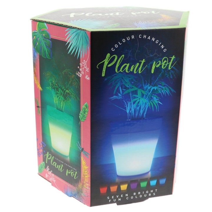 Vaso Luminoso