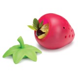 Infusore Fragola per bevande