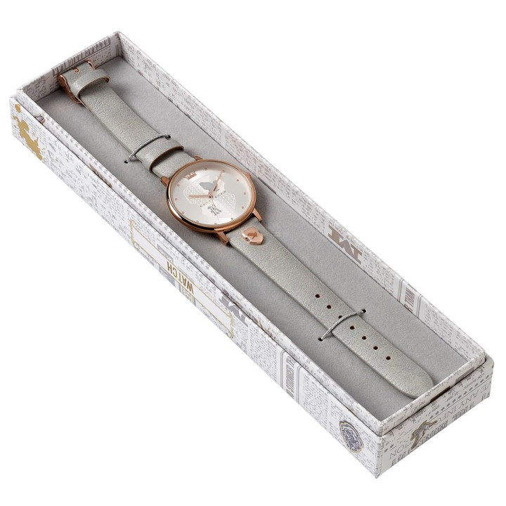 Orologi case di Hogwarts
