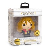 Batteria Portatile Hermione Granger