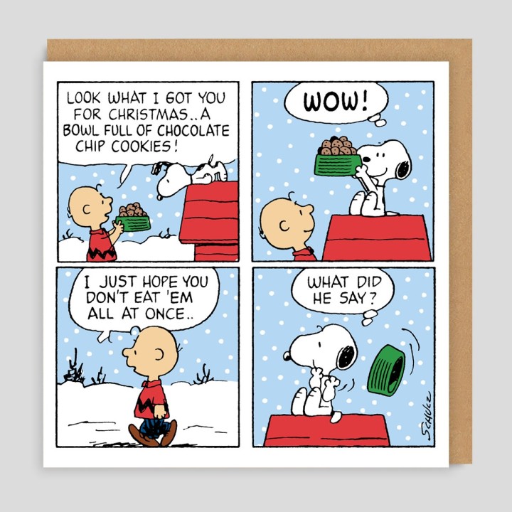 Biglietto di Natale Peanuts - Biscotti