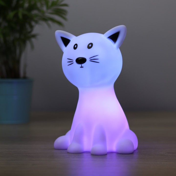 Gatto Luminoso