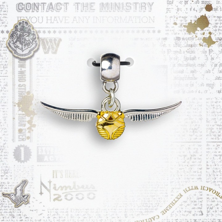 Charm Harry Potter Boccino d'Oro