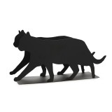 Gatto Portariviste