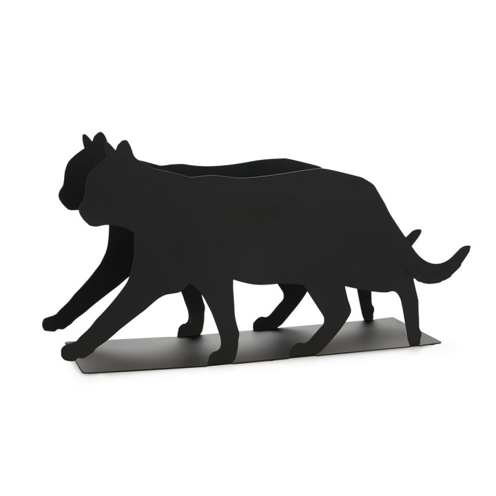Gatto Portariviste