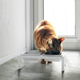 Doppia ciotola per animali Smart