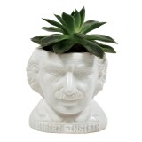 Mini vaso Einstein
