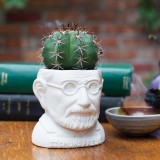 Mini vaso Freud