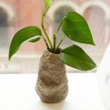 Micro vaso Sasso