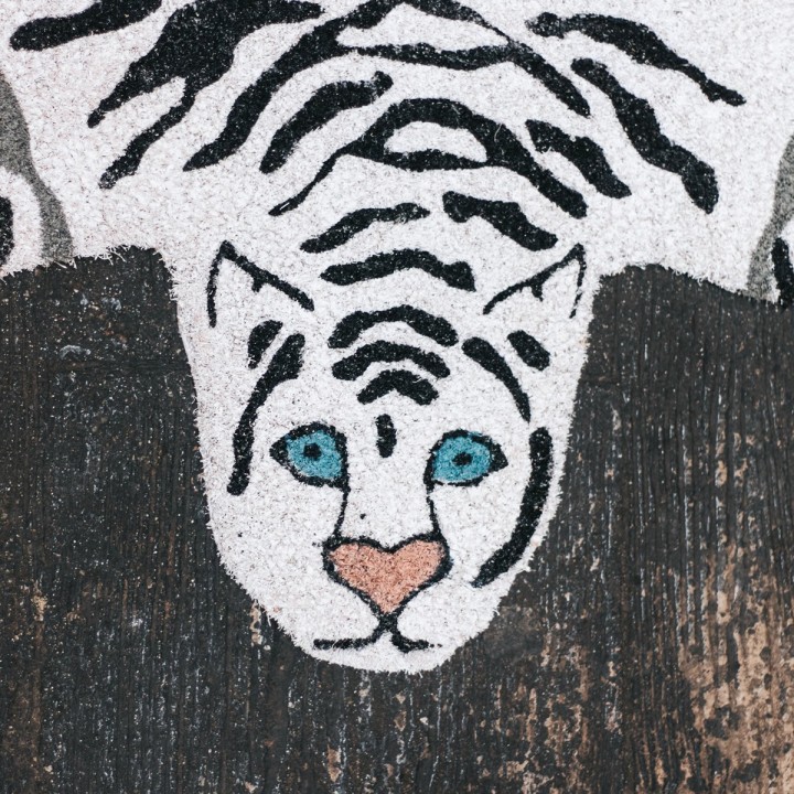 Zerbino Tigre Bianca