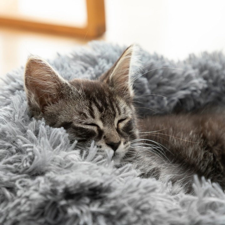 Letto super confort per animali