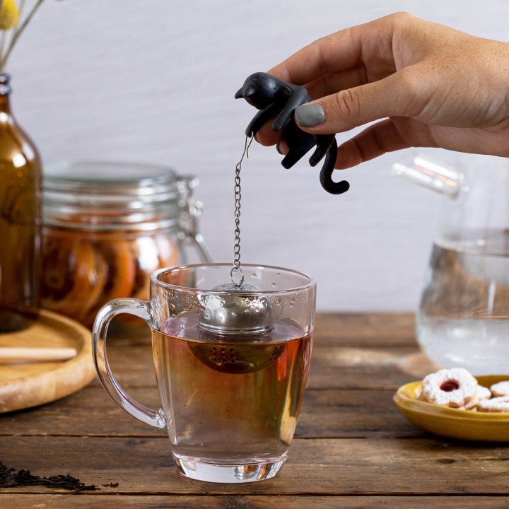 Infusore Gatto