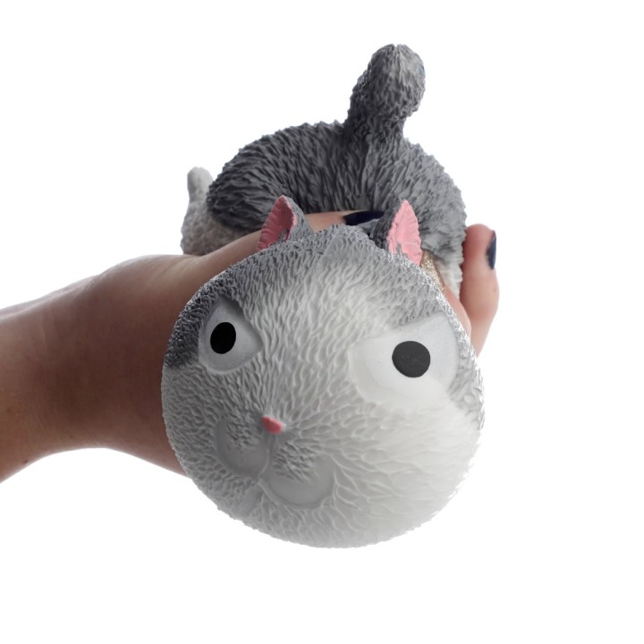 Gatto Antistress