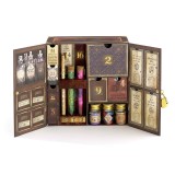 Calendario dell'Avvento Pozioni Harry Potter