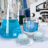 Stampo per ghiaccio Cervello
