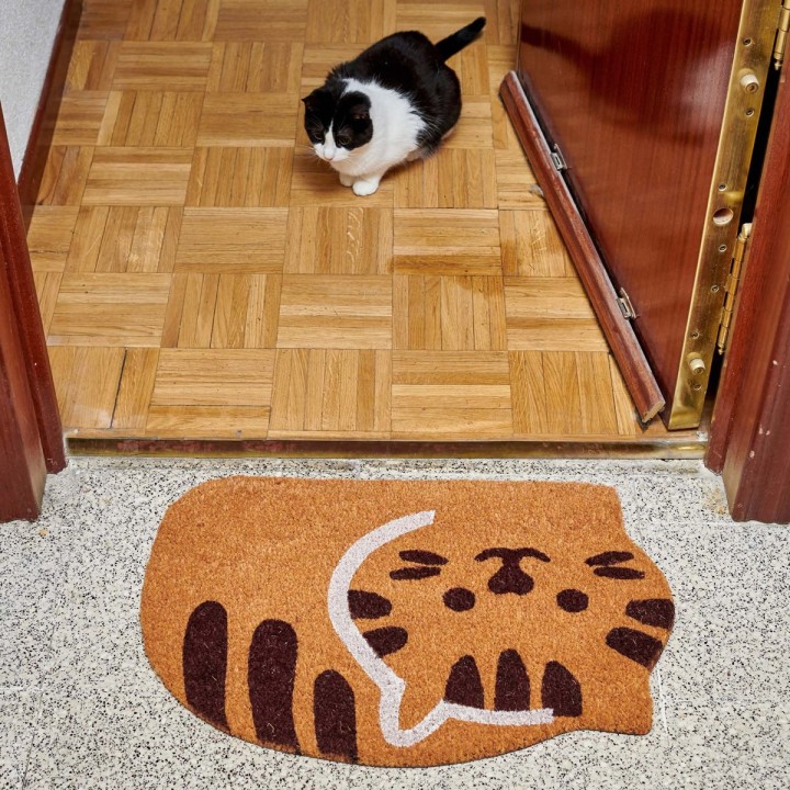 Zerbino gatto rannicchiato
