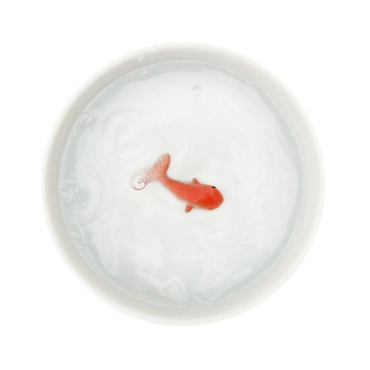 Ciotola per l'acqua Pesce Rosso
