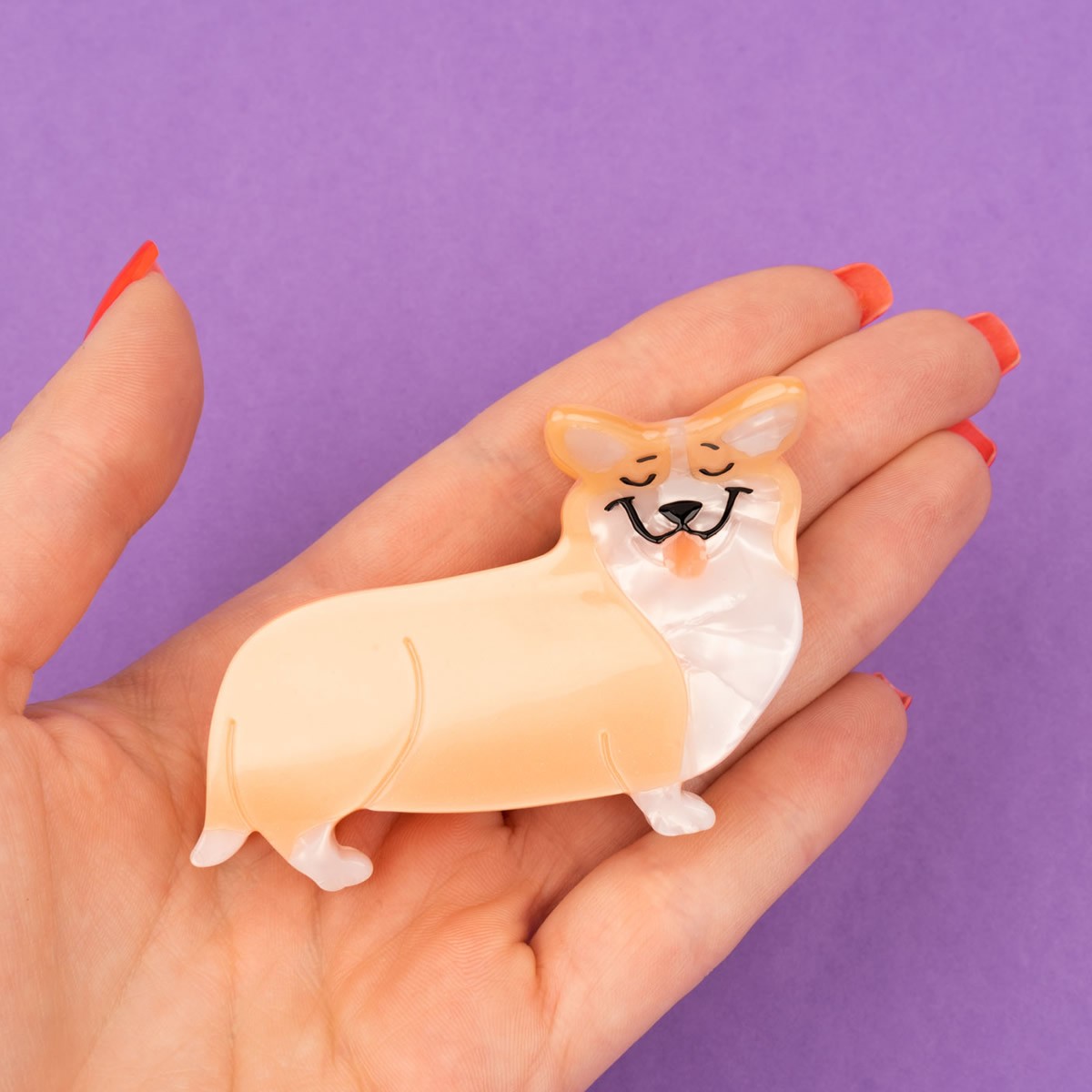 Mollettone Corgi