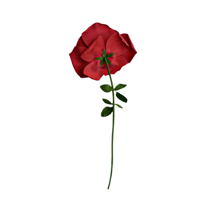 Rosa XXL