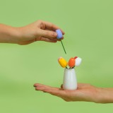 Tulipani per aperitivi