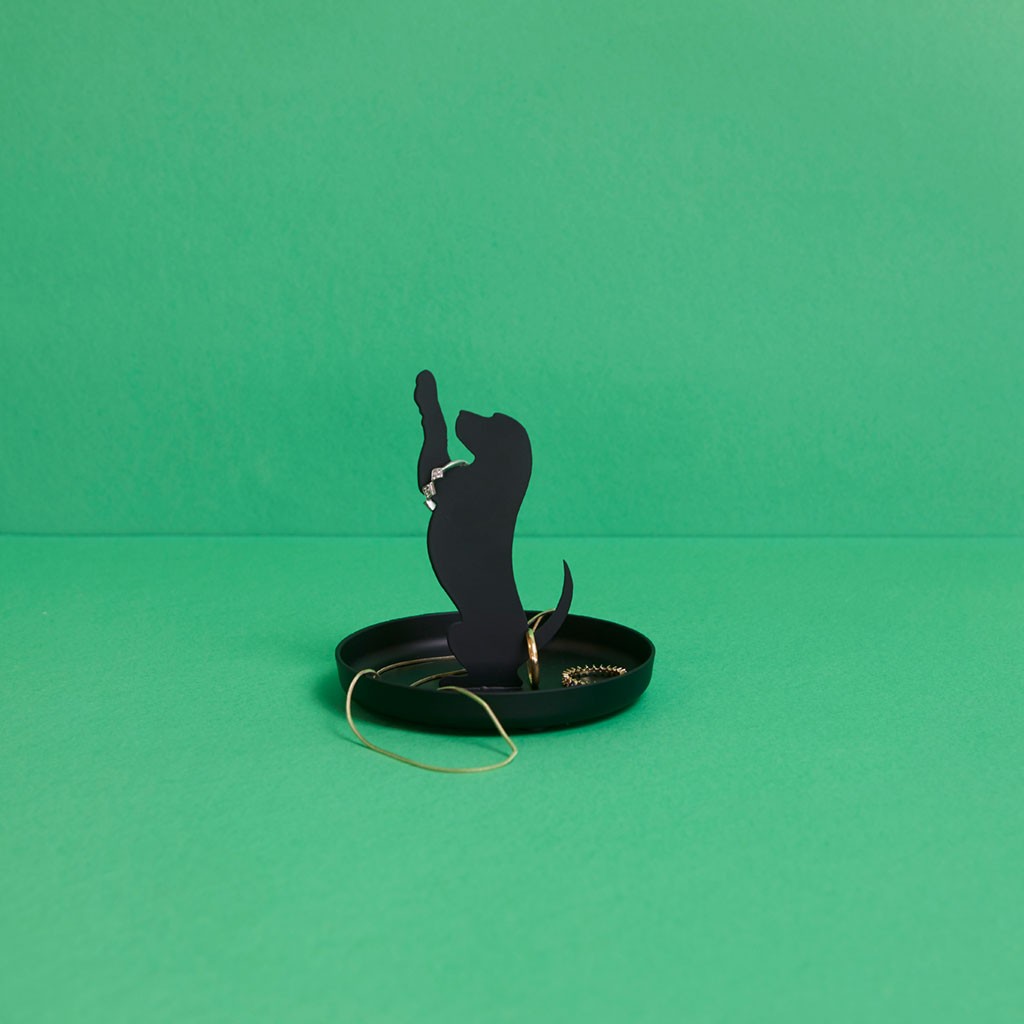 Cane porta anelli