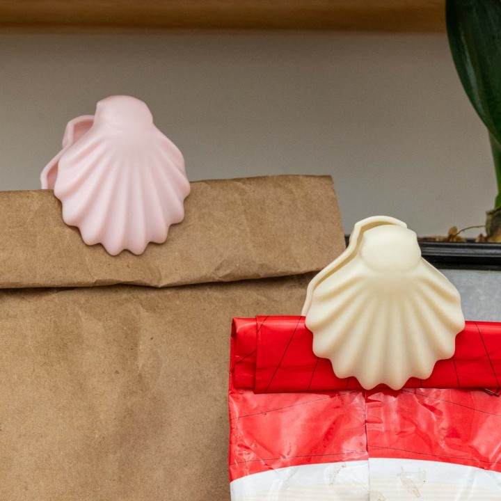 Mollette Conchiglie (set da 4)