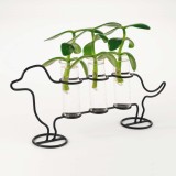 Cane porta talee