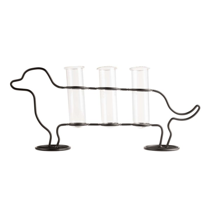 Cane porta talee
