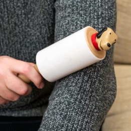 Cane spazzola per peli