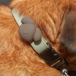 Porta AirTag per cani