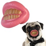 Gioco per Cani Denti Oro
