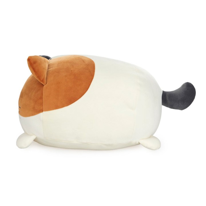 Cuscino Gatto