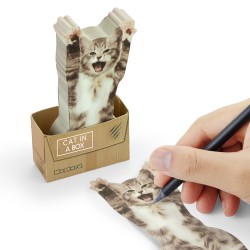 Gatti per appunti
