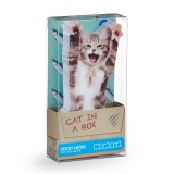 Gatti per appunti