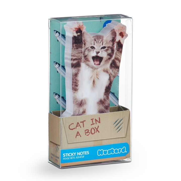 Gatti per appunti
