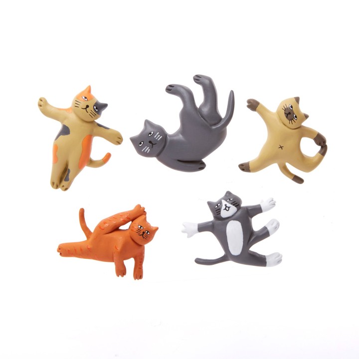 Calamite Gatti Yoga