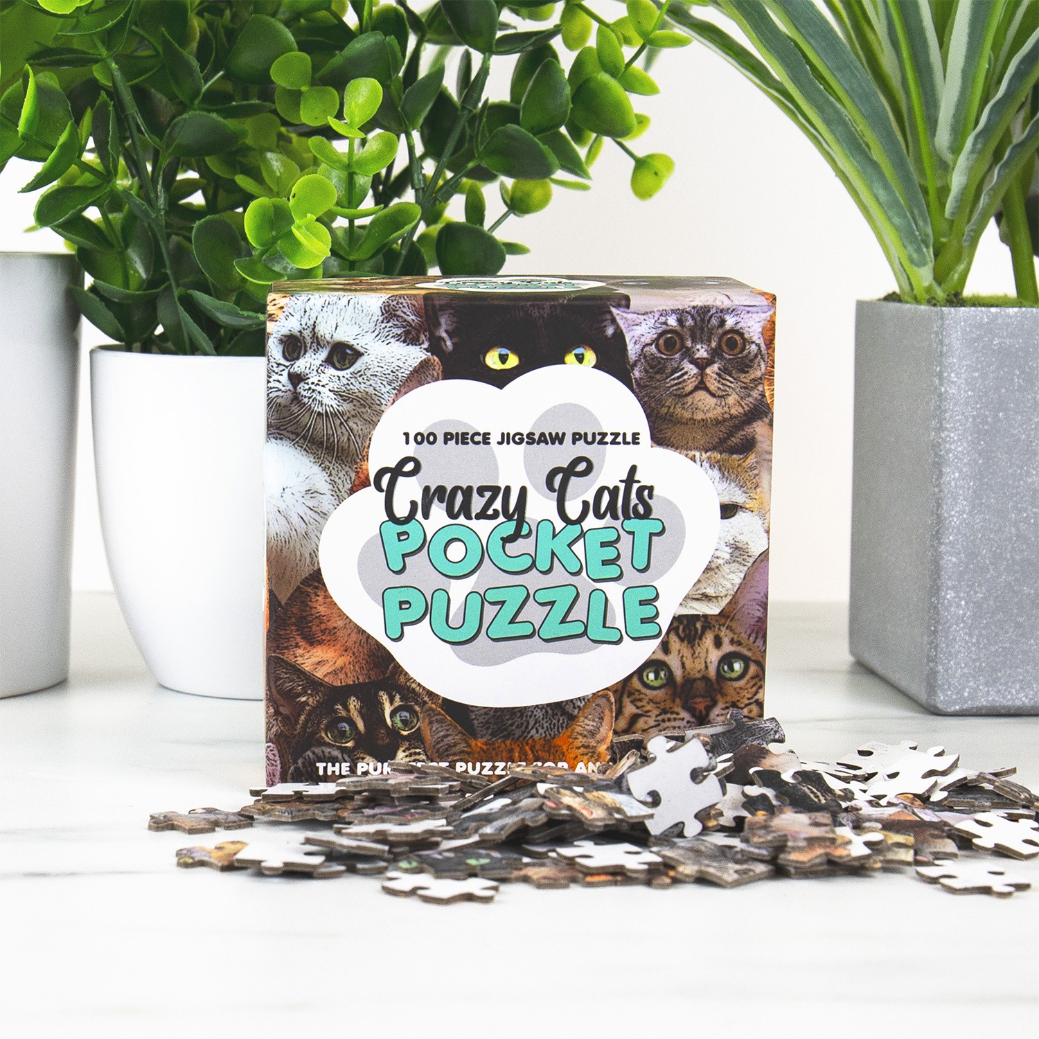 Mini Puzzle Gatti