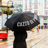 Ombrello pieghevole Cazzo di pioggia