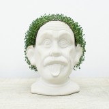 Einstein Erboso