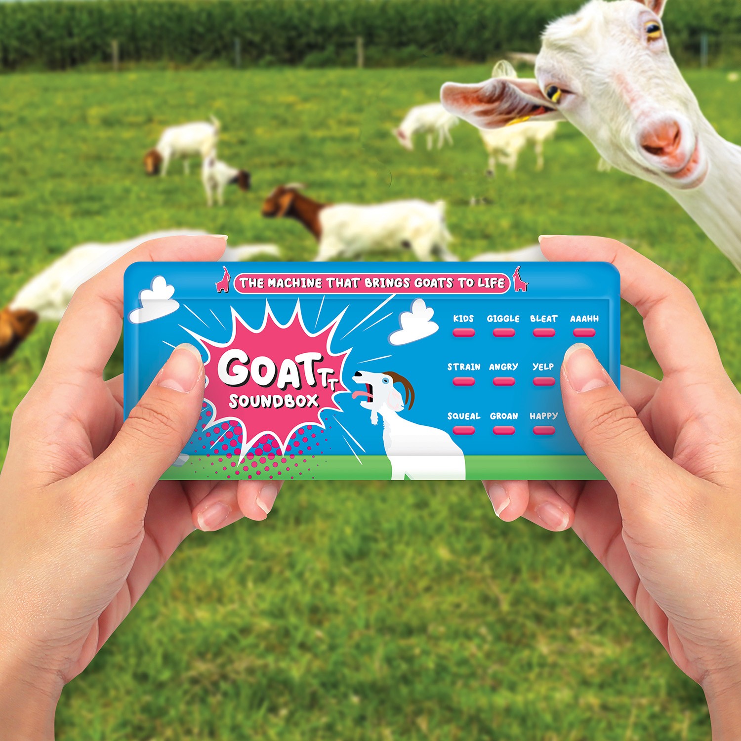 Goat Soundbox