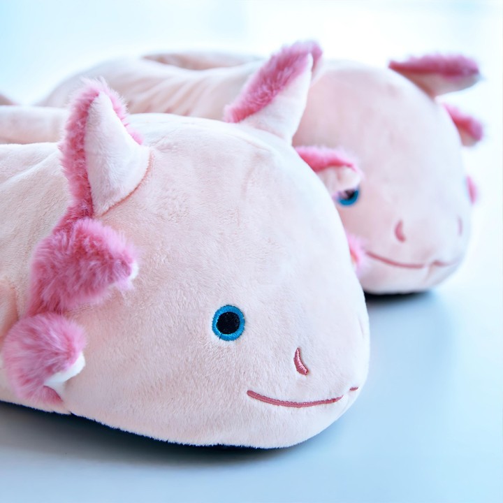 Pantofole Axolotl