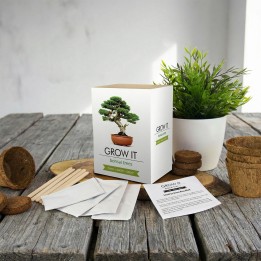 Bonsai fai da te
