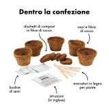 Bonsai fai da te