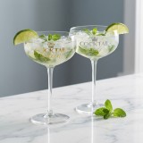 Bicchieri da cocktail King e Queen
