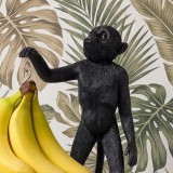 Scimmia porta banane