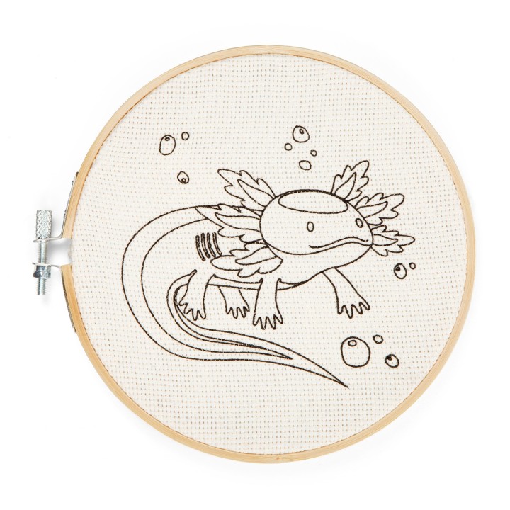 Kit Ago Magico Axolotl