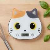 Bilancia da cucina Gatto