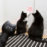Gatto Puntatore laser