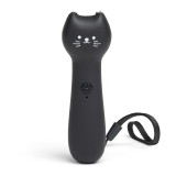 Gatto Puntatore laser