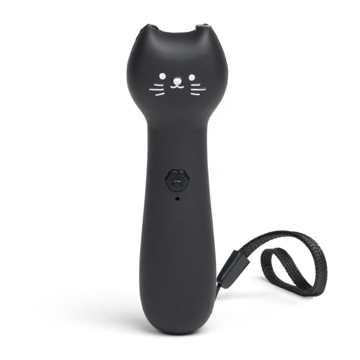 Gatto Puntatore laser